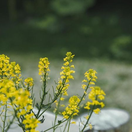 Artemina Bettei Villa Teshikaga ภายนอก รูปภาพ